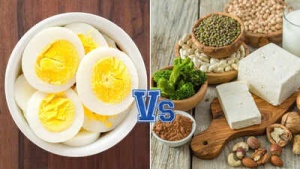 Vegetarian Protein Power: 20 Plant-Based Foods That Outperform an Egg