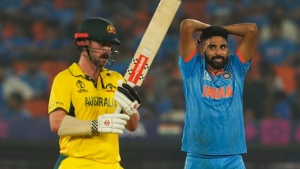 Australian Cricket Series: Indian Fan Zones Sell Out Weeks in Advance, Signaling High Demand